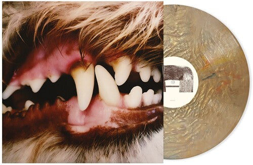 Lucius: Lucius ( RECORD )