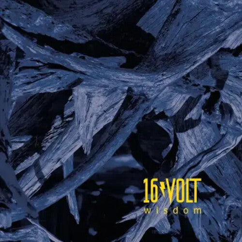 16Volt: Wisdom ( RECORD )