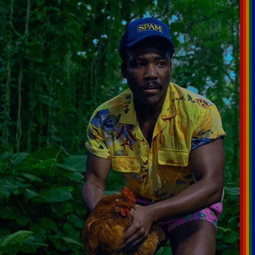 Childish Gambino: Bando Stone And The New World ( RECORD )