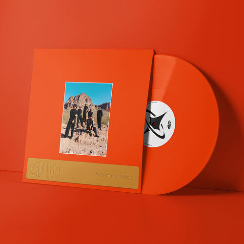 Leisure: Welcome to the Mood ( RECORD )