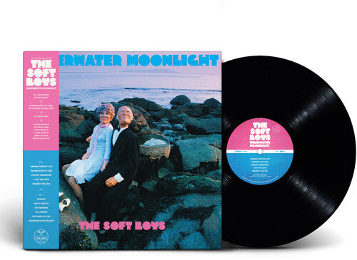 The Soft Boys: Underwater Moonlight ( RECORD )