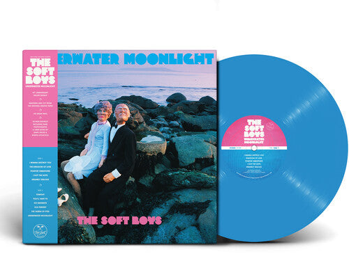 The Soft Boys: Underwater Moonlight ( RECORD )