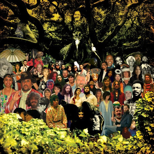 Devendra Banhart: Cripple Crow (20th Anniversary Deluxe) - Black/Green ( RECORD )