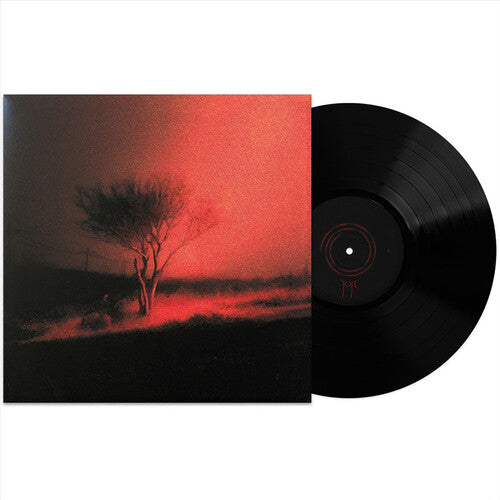 Joji: Piss In The Wind ( RECORD )