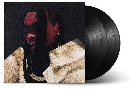 Wale: Everything Is A Lot. ( RECORD )