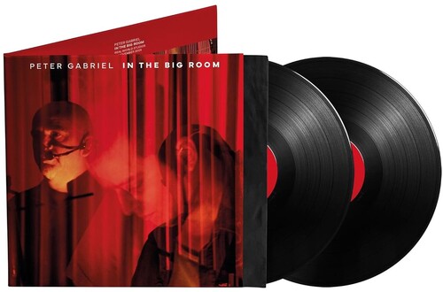 Peter Gabriel: In The Big Room ( RECORD )