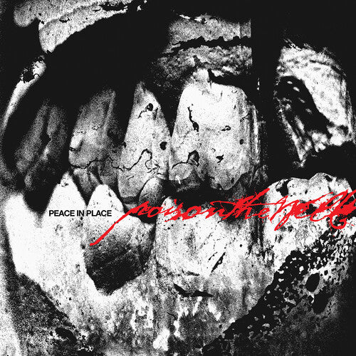 Poison the Well: Peace In Place ( RECORD )