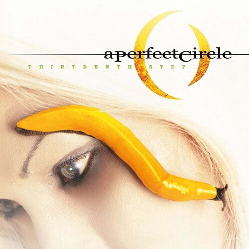 A Perfect Circle: Thirteenth Step ( RECORD )