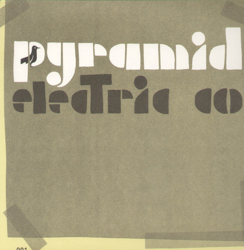 Jason Molina: Pyramid Electric Co ( RECORD )