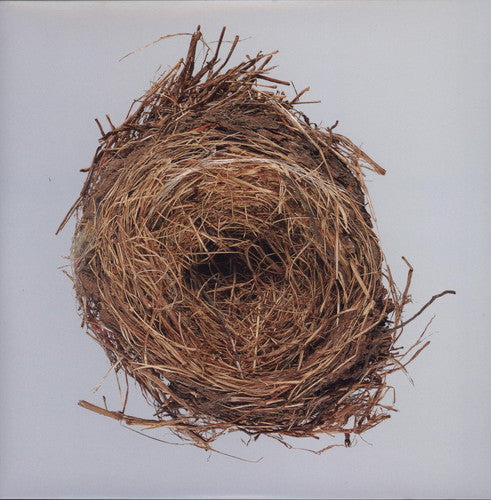 Wilco: A Ghost Is Born ( RECORD )