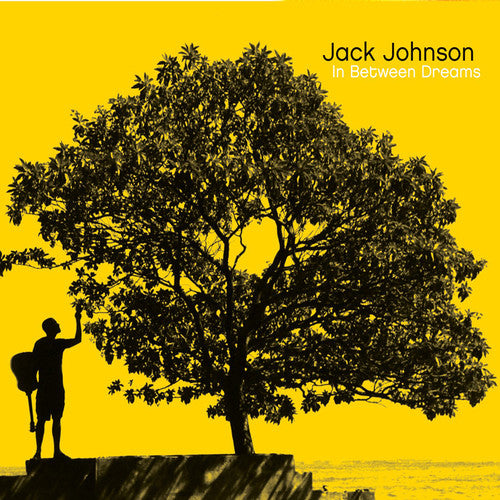 Jack Johnson: In Between Dreams ( RECORD )