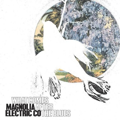 Magnolia Electric Co.: What Comes After the Blues ( RECORD )