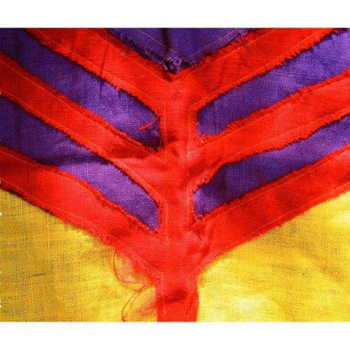 Yeah Yeah Yeahs: Show Your Bones ( RECORD )